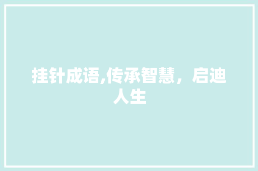 挂针成语,传承智慧，启迪人生