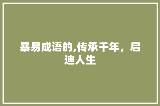 暴易成语的,传承千年，启迪人生
