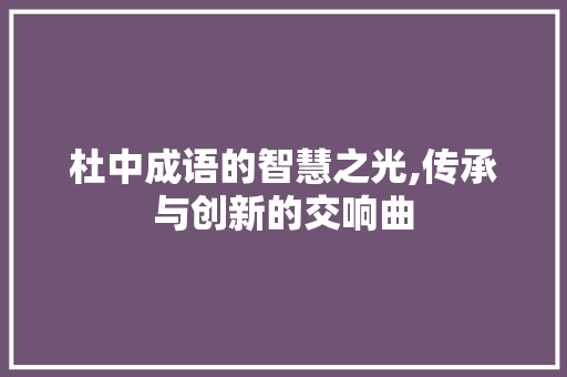 杜中成语的智慧之光,传承与创新的交响曲