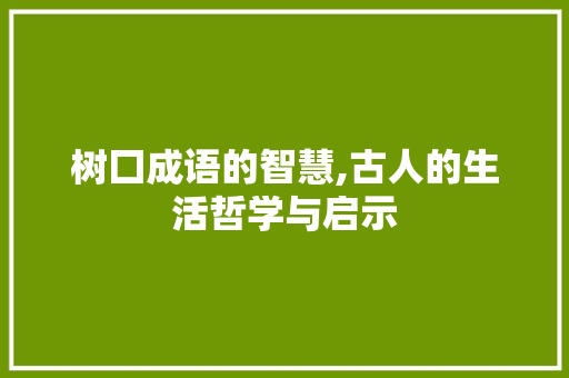 树囗成语的智慧,古人的生活哲学与启示