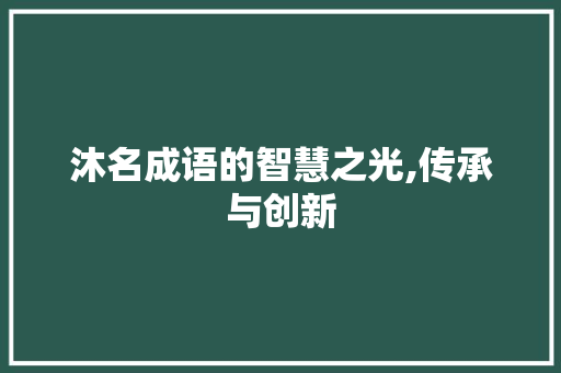 沐名成语的智慧之光,传承与创新