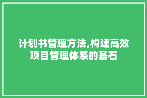 计划书管理方法,构建高效项目管理体系的基石