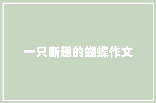 职业规划,筑梦未来，砥砺前行