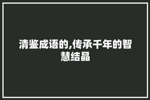 清鉴成语的,传承千年的智慧结晶
