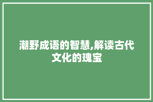 潮野成语的智慧,解读古代文化的瑰宝