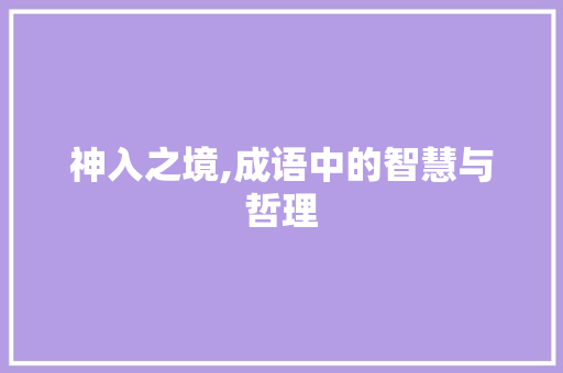 神入之境,成语中的智慧与哲理