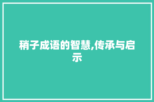 稍子成语的智慧,传承与启示