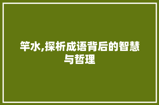 竿水,探析成语背后的智慧与哲理
