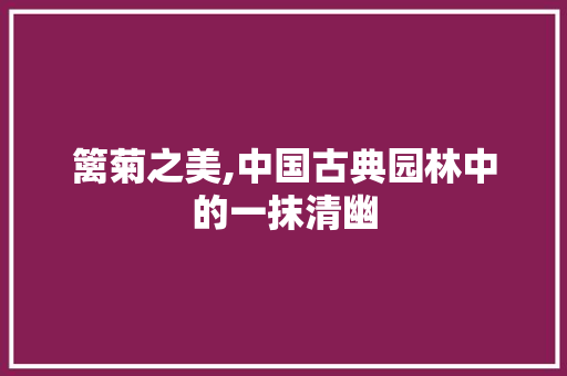 篱菊之美,中国古典园林中的一抹清幽