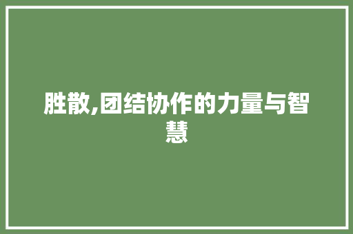 胜散,团结协作的力量与智慧