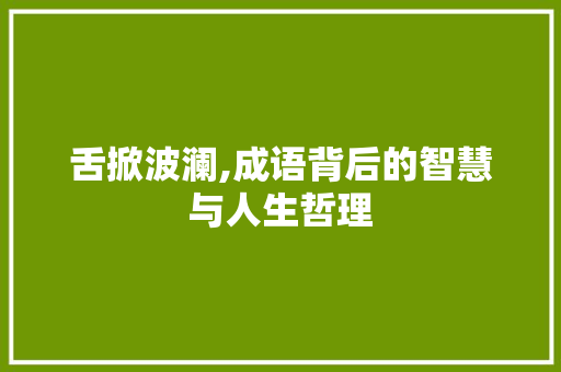 舌掀波澜,成语背后的智慧与人生哲理