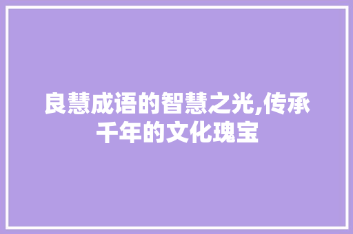 良慧成语的智慧之光,传承千年的文化瑰宝