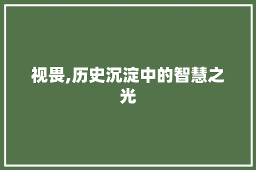 视畏,历史沉淀中的智慧之光