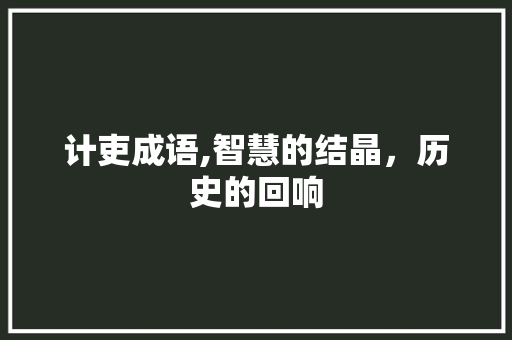 计吏成语,智慧的结晶，历史的回响
