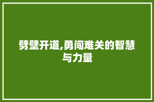劈壁开道,勇闯难关的智慧与力量