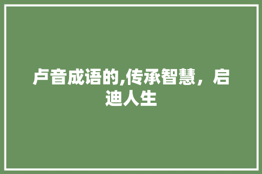 卢音成语的,传承智慧，启迪人生