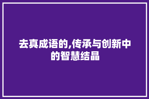 去真成语的,传承与创新中的智慧结晶