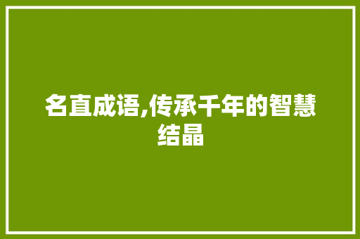 名直成语,传承千年的智慧结晶