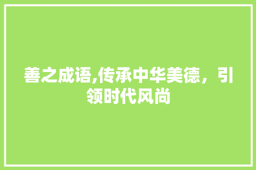 善之成语,传承中华美德，引领时代风尚
