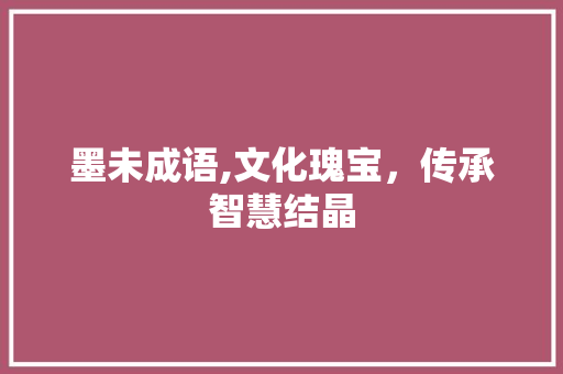 墨未成语,文化瑰宝，传承智慧结晶