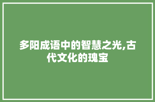 多阳成语中的智慧之光,古代文化的瑰宝