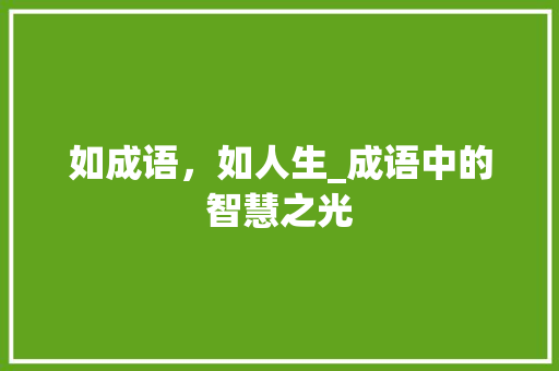 如成语，如人生_成语中的智慧之光