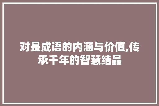 对是成语的内涵与价值,传承千年的智慧结晶