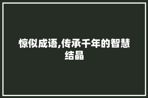 惊似成语,传承千年的智慧结晶