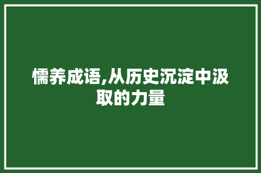 懦养成语,从历史沉淀中汲取的力量