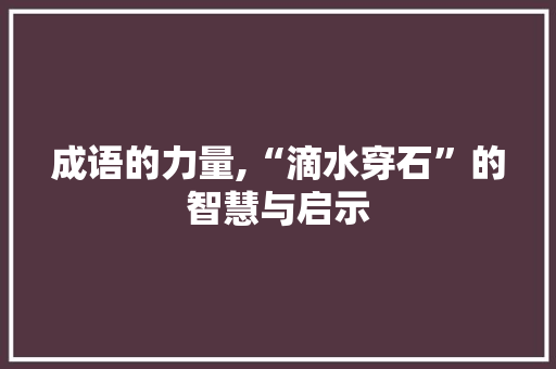 成语的力量,“滴水穿石”的智慧与启示