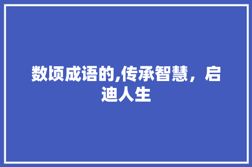 数顷成语的,传承智慧，启迪人生