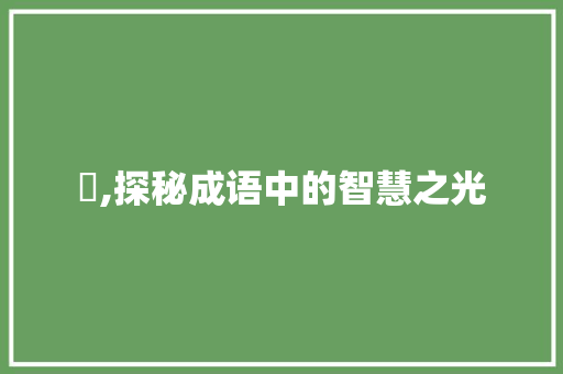 昍,探秘成语中的智慧之光