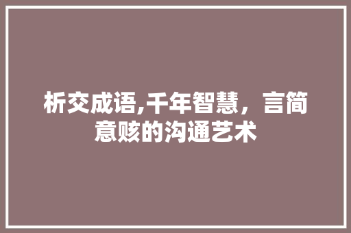 析交成语,千年智慧，言简意赅的沟通艺术