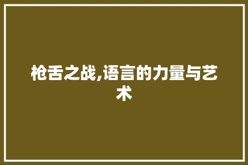 枪舌之战,语言的力量与艺术