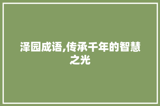 泽园成语,传承千年的智慧之光