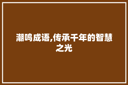 潮鸣成语,传承千年的智慧之光