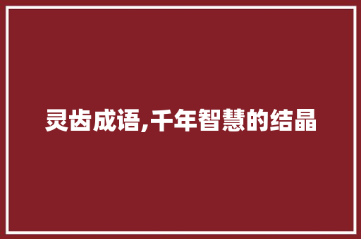 灵齿成语,千年智慧的结晶 工作计划