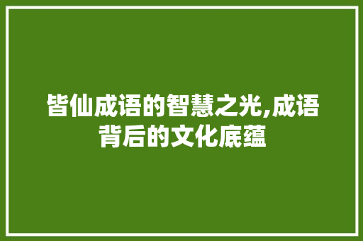 皆仙成语的智慧之光,成语背后的文化底蕴