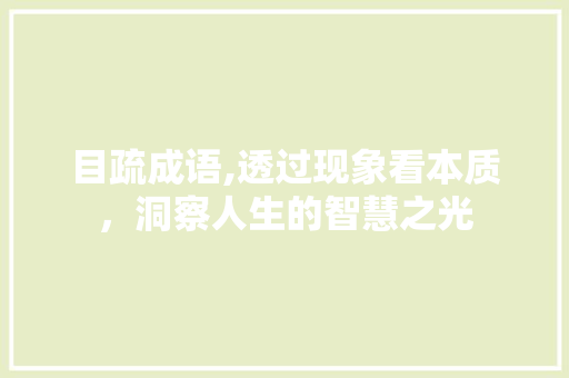 目疏成语,透过现象看本质，洞察人生的智慧之光