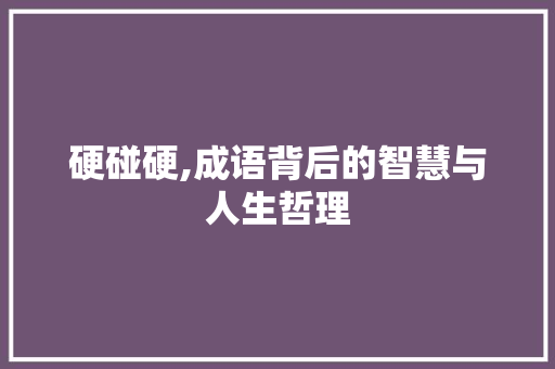 硬碰硬,成语背后的智慧与人生哲理