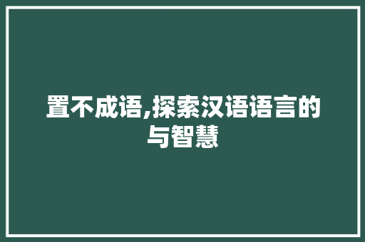 置不成语,探索汉语语言的与智慧