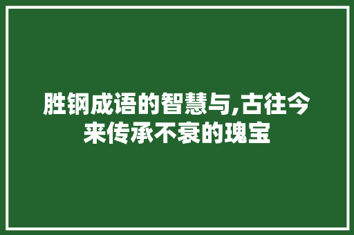 胜钢成语的智慧与,古往今来传承不衰的瑰宝