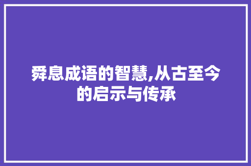 舜息成语的智慧,从古至今的启示与传承