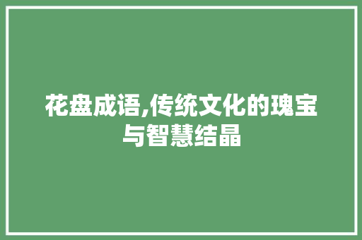 花盘成语,传统文化的瑰宝与智慧结晶