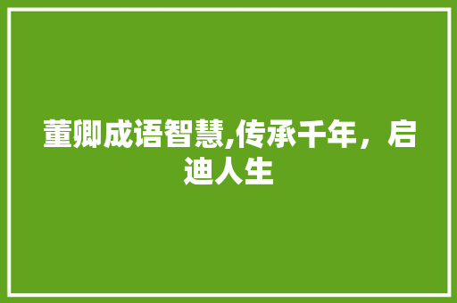 董卿成语智慧,传承千年，启迪人生