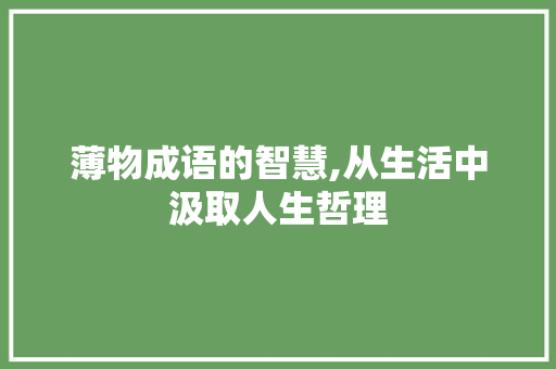 薄物成语的智慧,从生活中汲取人生哲理