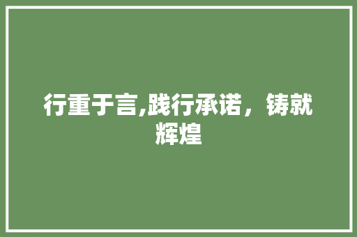 行重于言,践行承诺，铸就辉煌