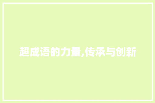 超成语的力量,传承与创新