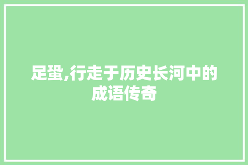 足蛩,行走于历史长河中的成语传奇 工作总结