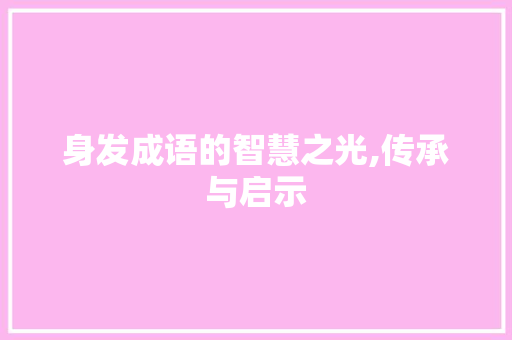 身发成语的智慧之光,传承与启示
